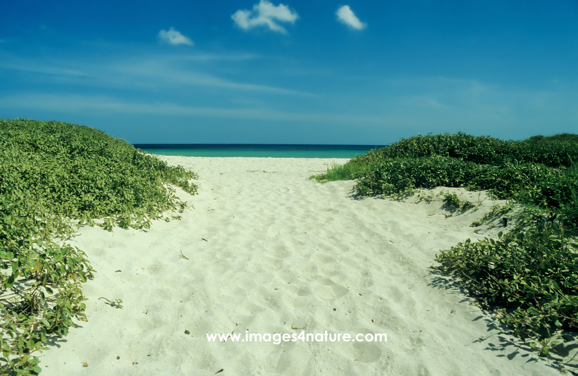 Steps on a footpath in the sand dunes leading towards a nice beach with blue water