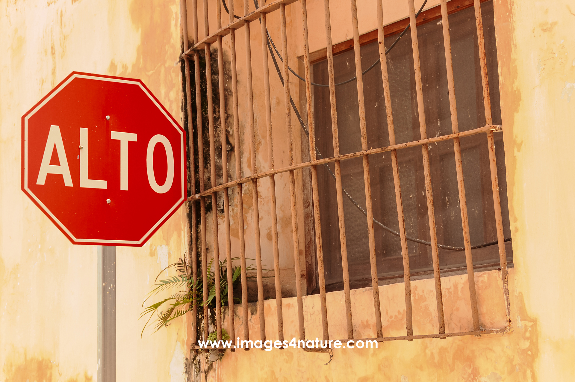 Wall of an old house with a stop sign next to a window with metal bars