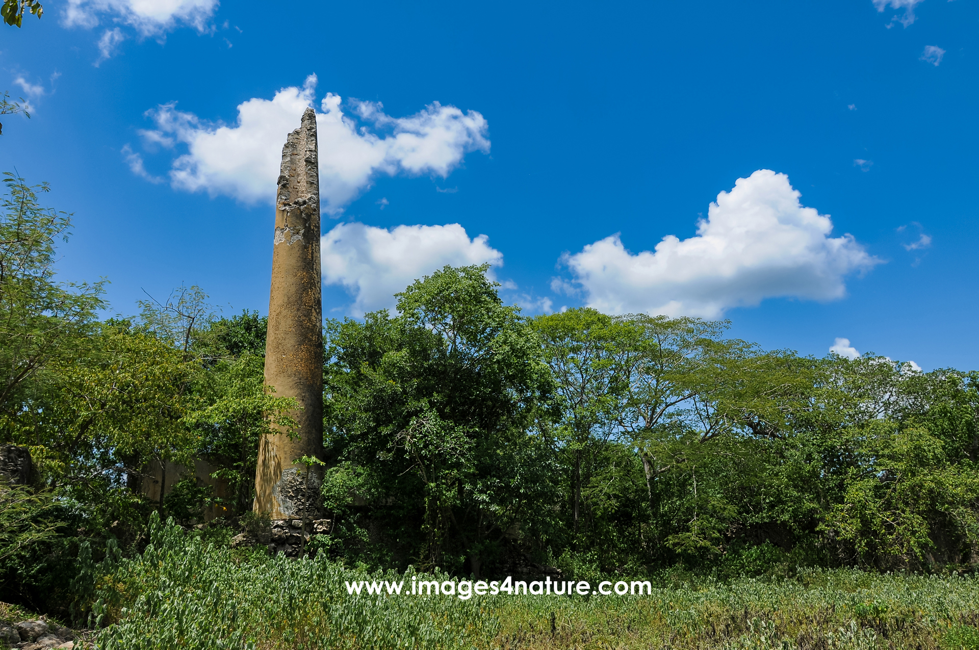 A partially broken brick chimney rising above the treetops of a tropical forest