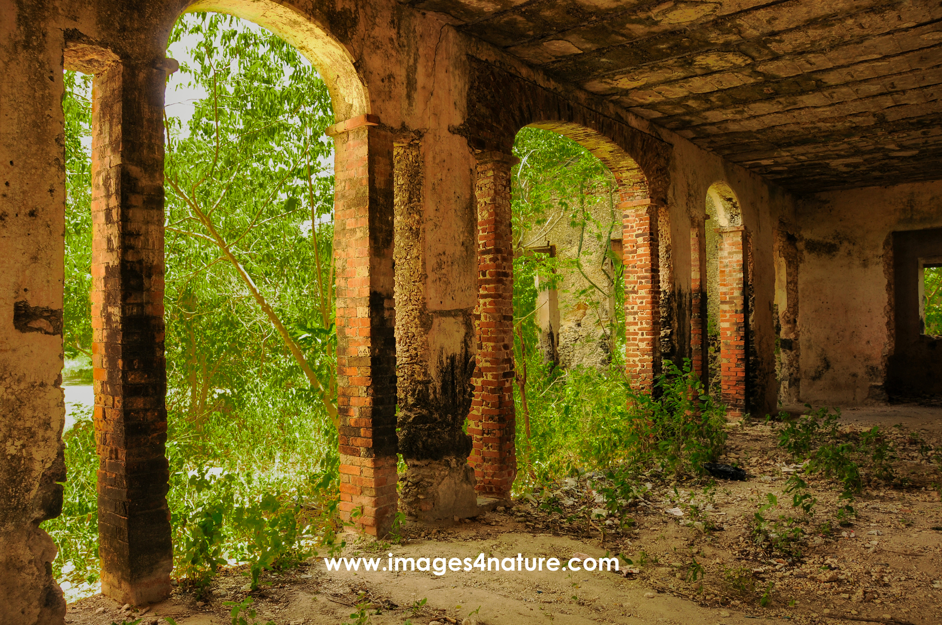 Interior view of an abandoned brick house, surrounded by green bushes