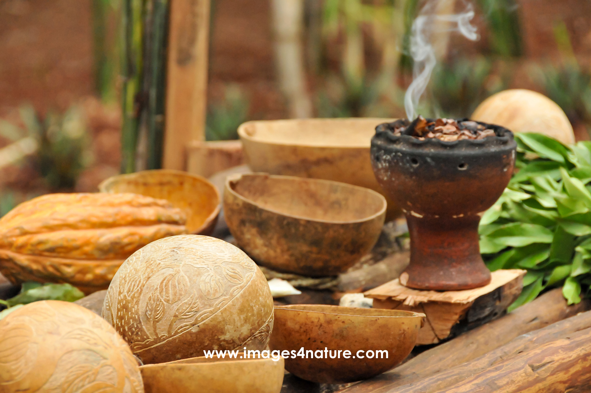 Altar for a Mayan healing ceremony