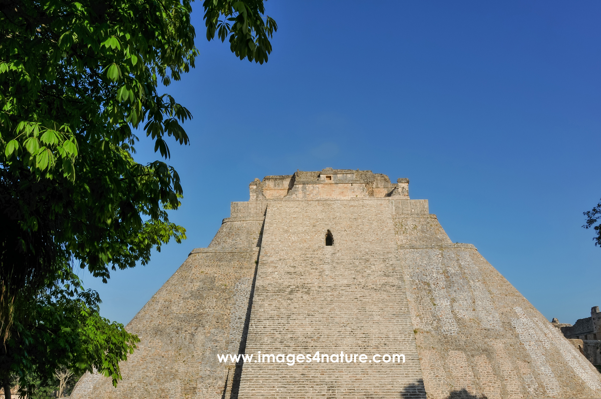 Front view of the main staircase leading up to the Uxmal main pyramid