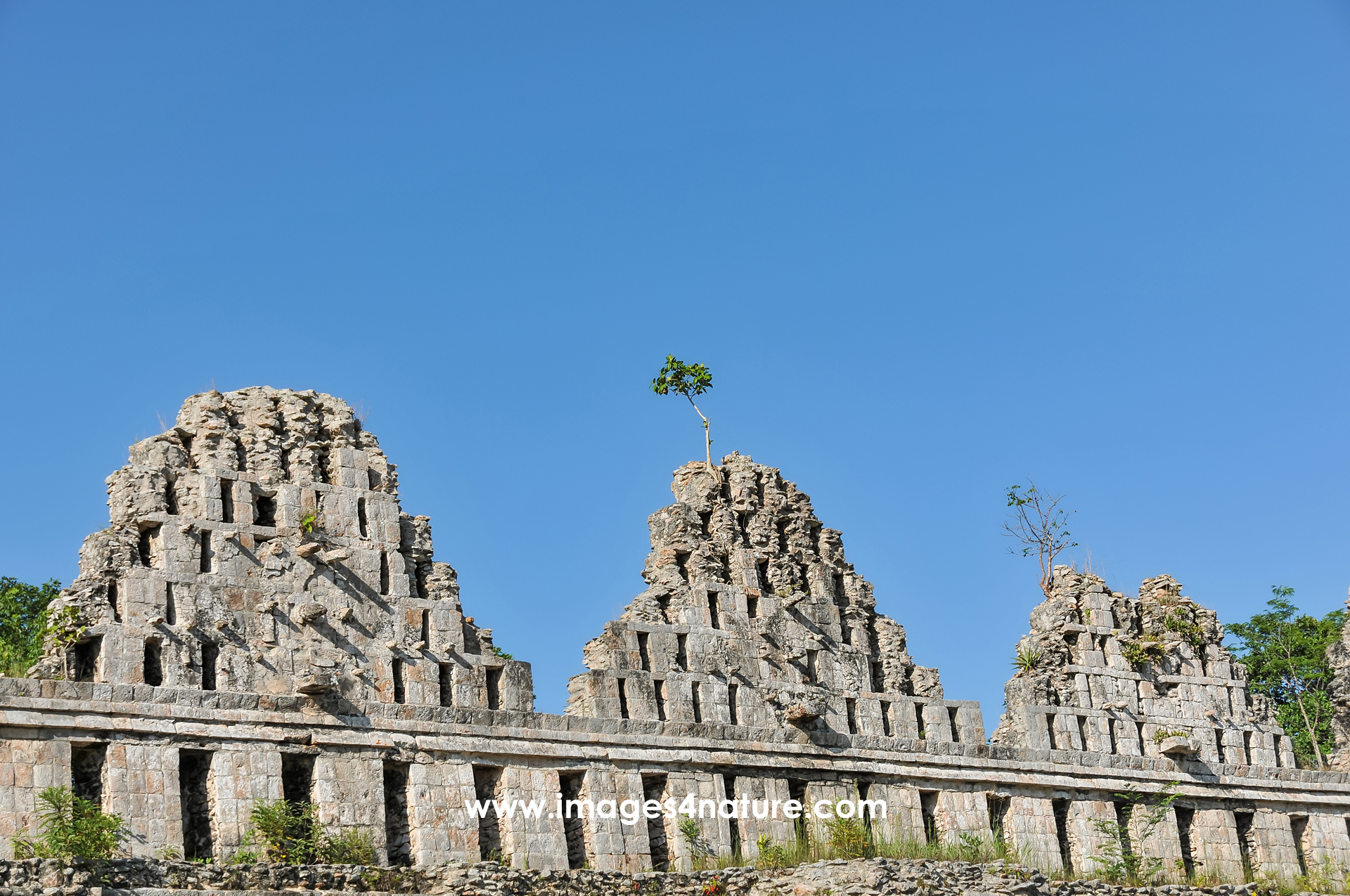 The gables of a Mayan building ruin at Uxmal archeological site